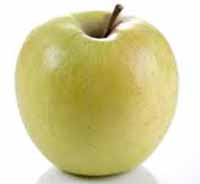 Voćne sadnice - jabuka rajnders