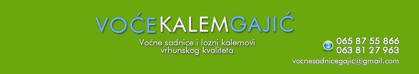 Voćne sadnice | Sadnice Voća | Rasadnik Voće Kalem Gajić